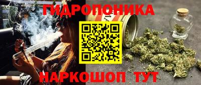 ECSTASY Кулебаки