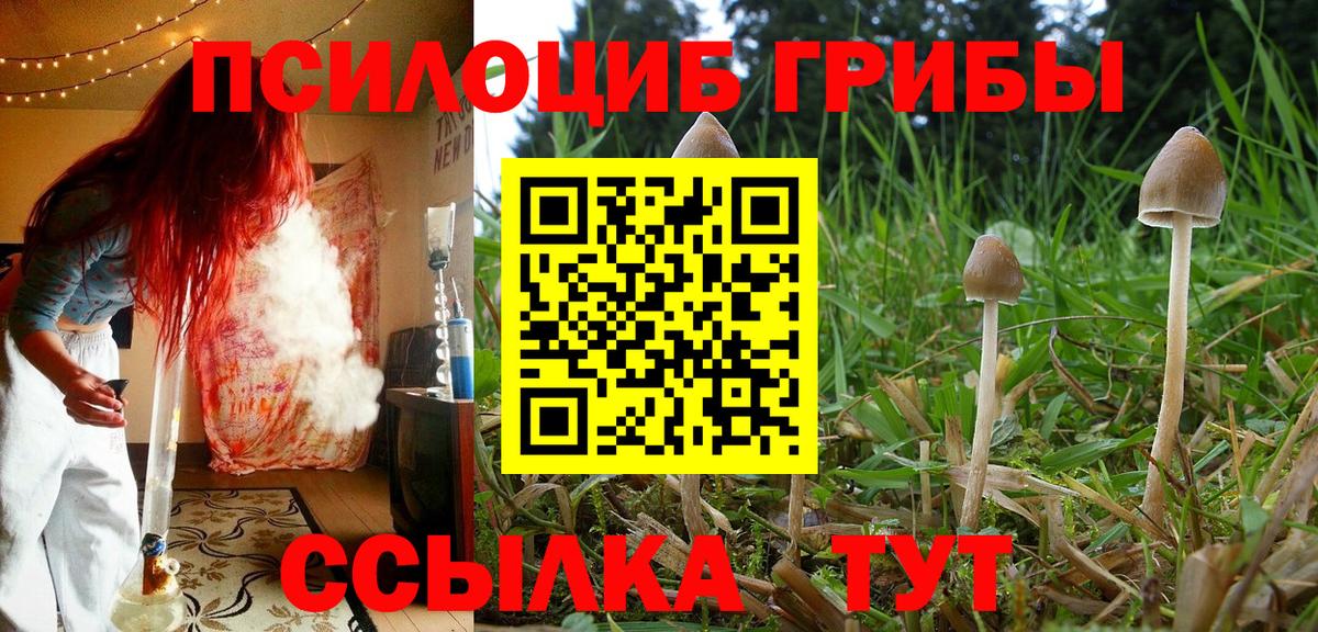 Котлас  Псилоцибиновые грибы мицелий  Вход с VPN  Галлюциногенные грибы прущие грибы 